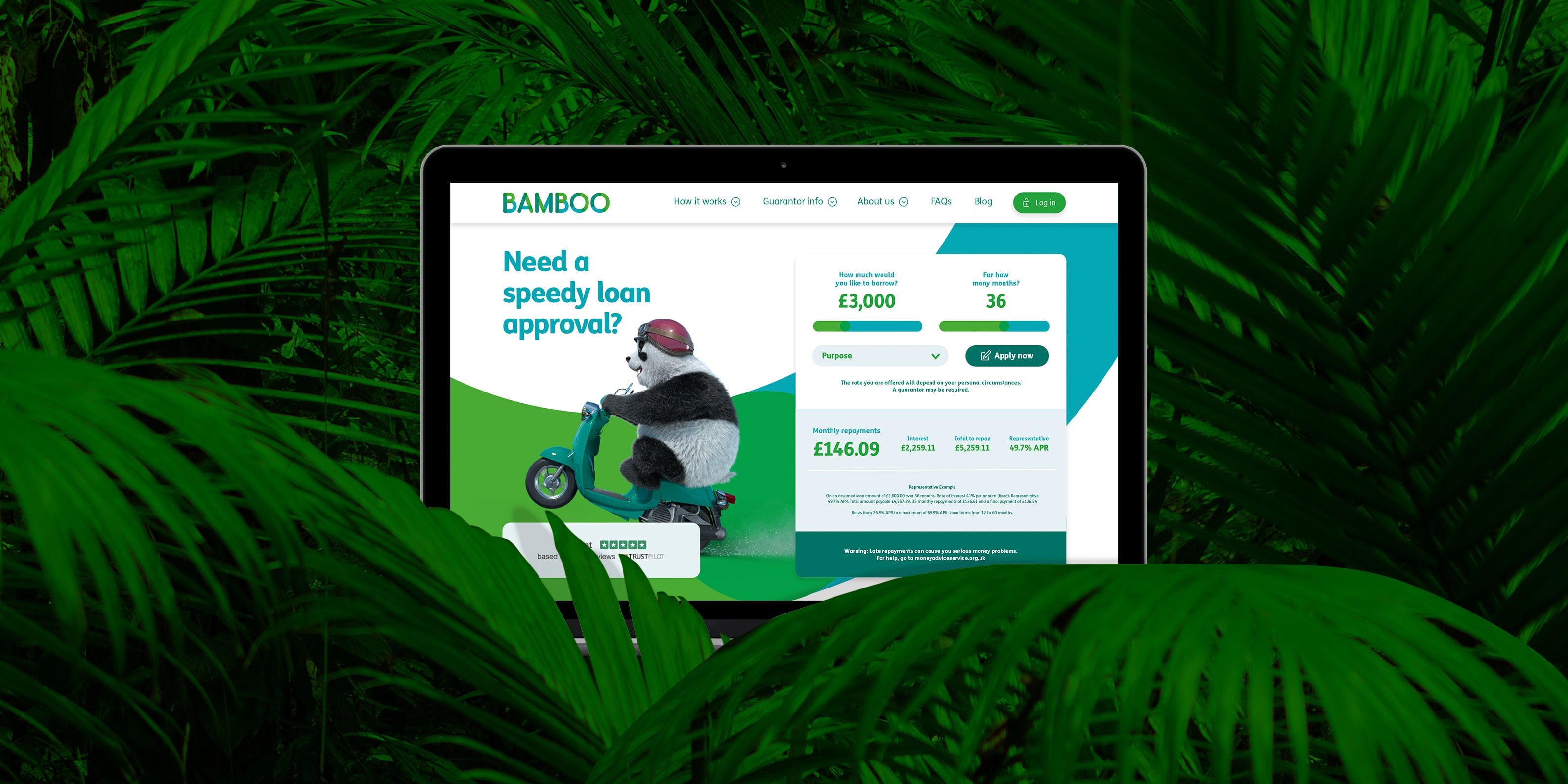 Absolute Bamboo Loans Case Study Speedy. Simple. Flexible.